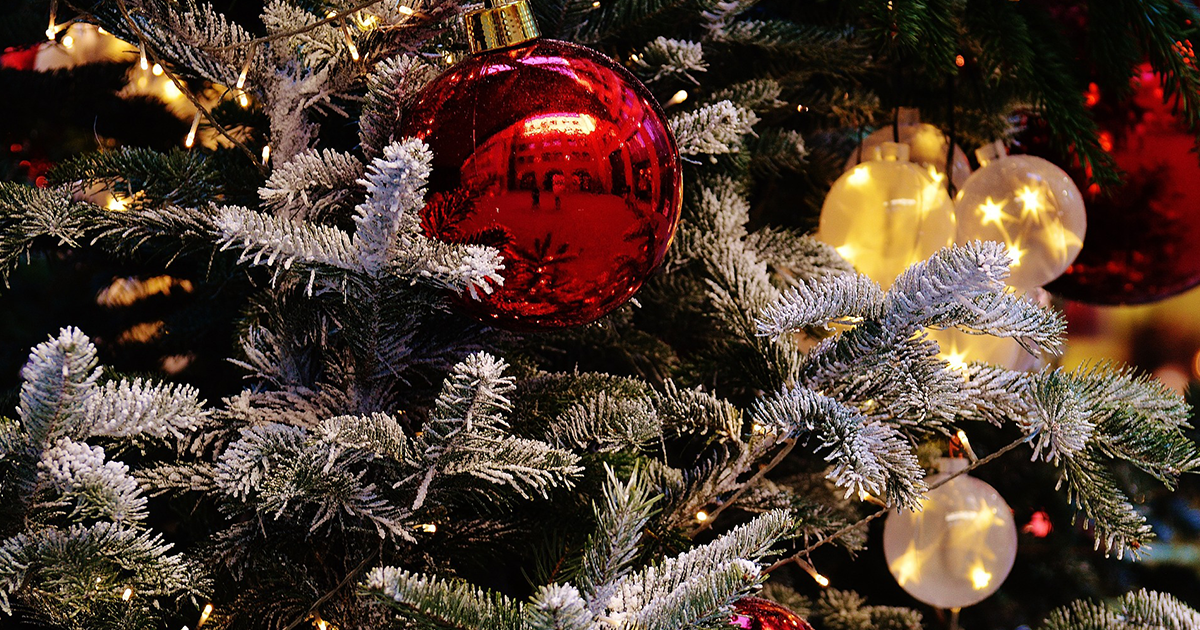 クリスマスツリーに関するブログ
